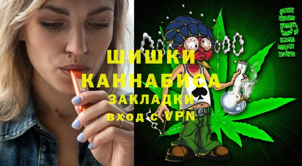 МДПВ Михайлов