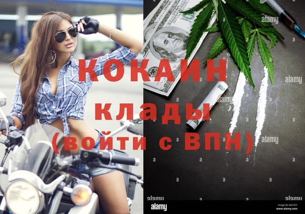 ПСИЛОЦИБИНОВЫЕ ГРИБЫ Аша